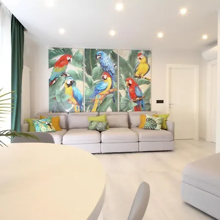 Parrots & Palms 보르디게라