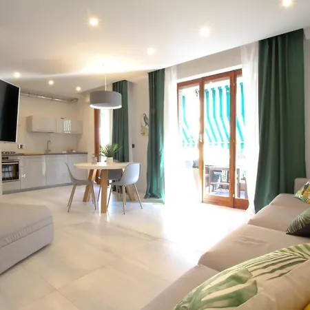 Parrots & Palms 보르디게라