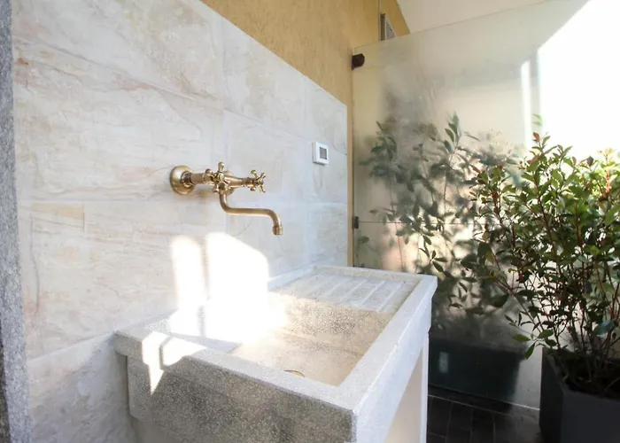 Parrots & Palms Апартаменты